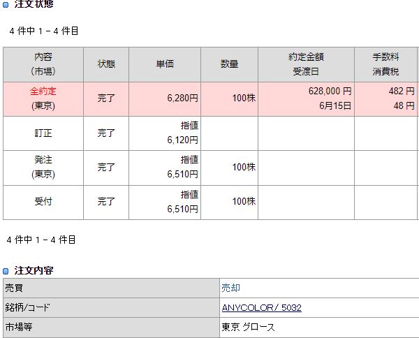 ANYCOLOR売却明細