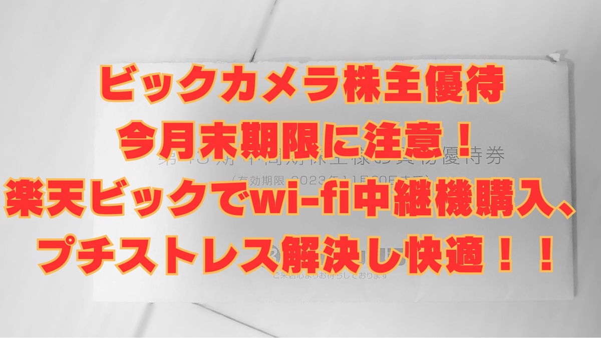 24000円分 ビックカメラ コジマ 株主優待券（買物券,家電｜株主優待券  