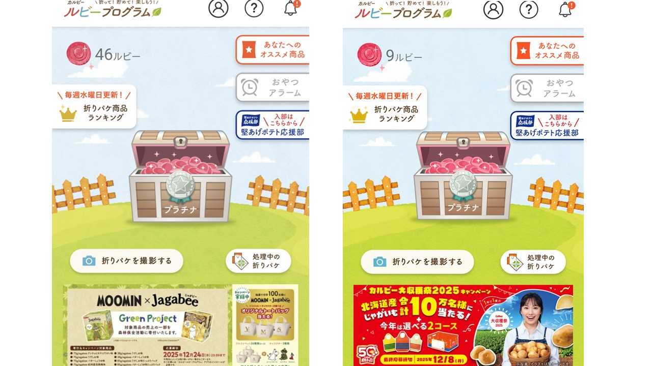 カルビー大収穫祭2025第9回応募後ルビー