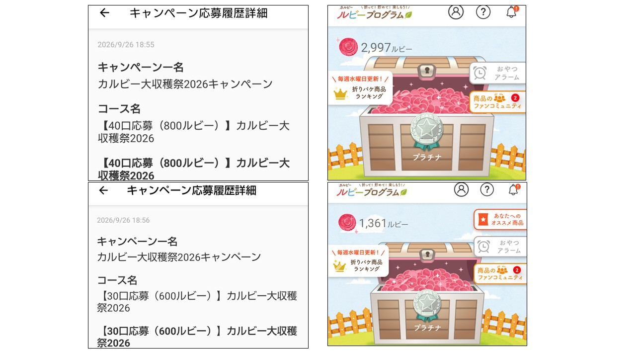 カルビー大収穫祭2026第3回応募内容と残ルビー